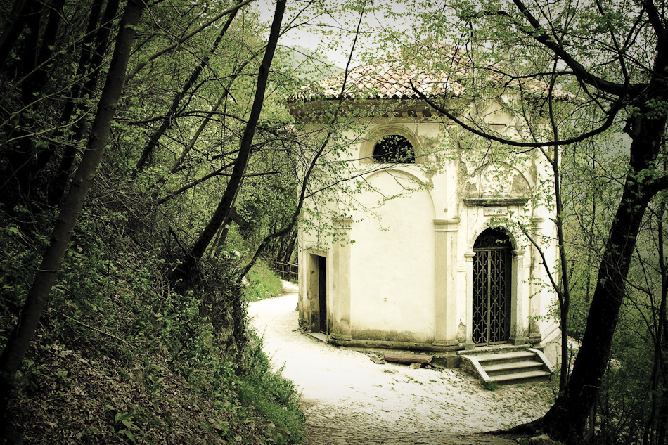 Associzione Ponte del mondo novo