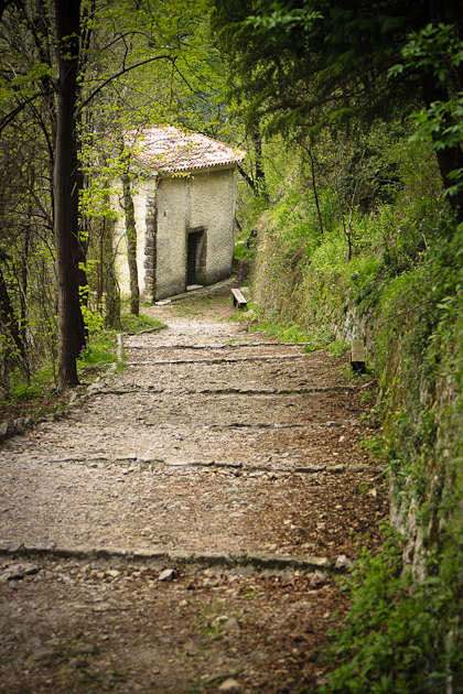 Associzione Ponte del mondo novo